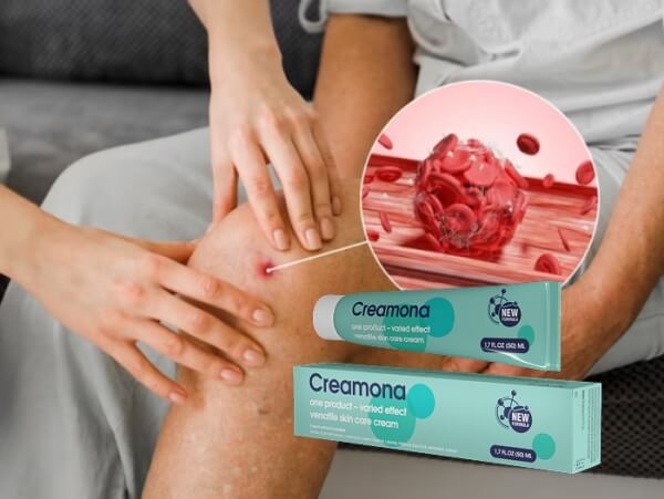 Mode d'emploi de Creamona