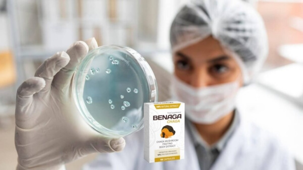 Benaga Chaga pour les infections parasitaires et la perte de poids