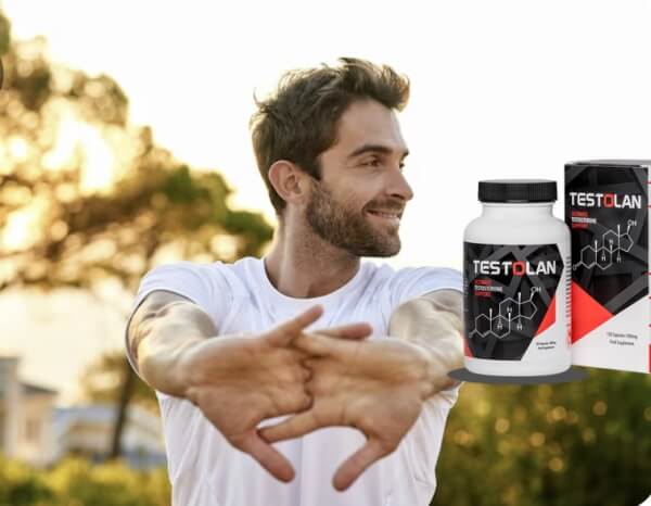 Testolan – Qu'est-ce que c'est et comment ça marche ? Testolan – Qu'est-ce que c'est et comment ça marche ?