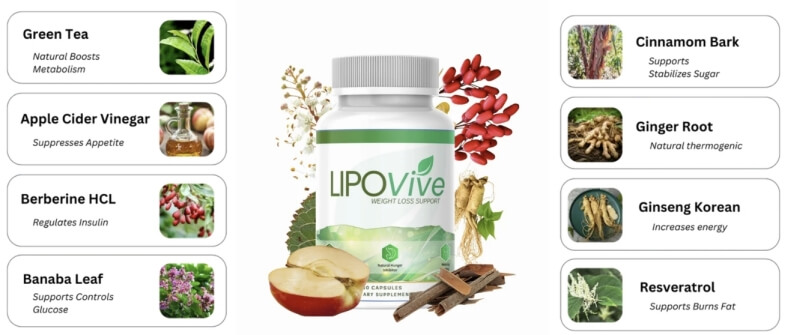 Composition et ingrédients Composition et ingrédients