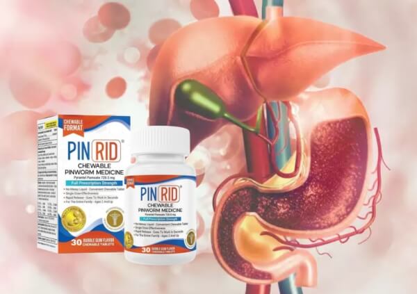 Prix de Pin Rid au Maroc