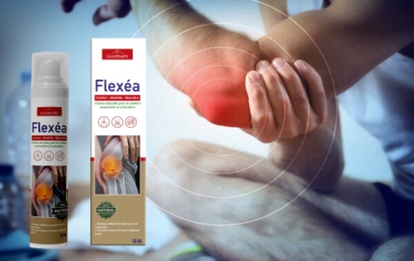 C'est quoi Flexea et à quoi sert-il ? C'est quoi Flexea et à quoi sert-il ?