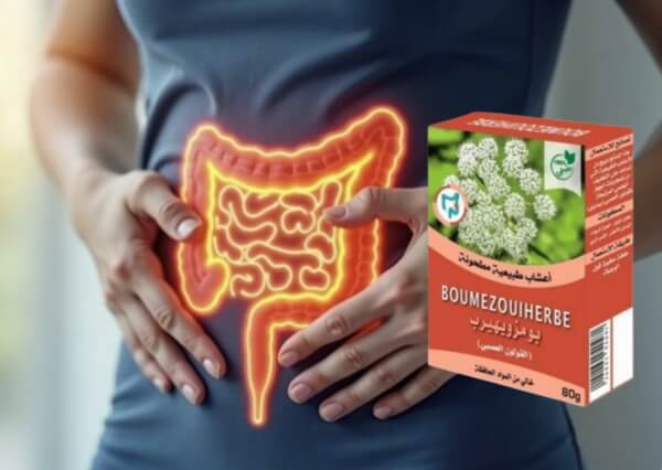 Boumezouiherbe thé Sénégal - Prix où acheter Avis Mode d'emploi