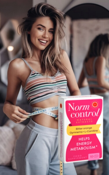 Mode d'emploi de Normcontrol